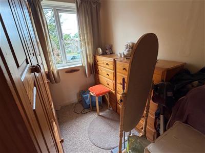 Picture 13